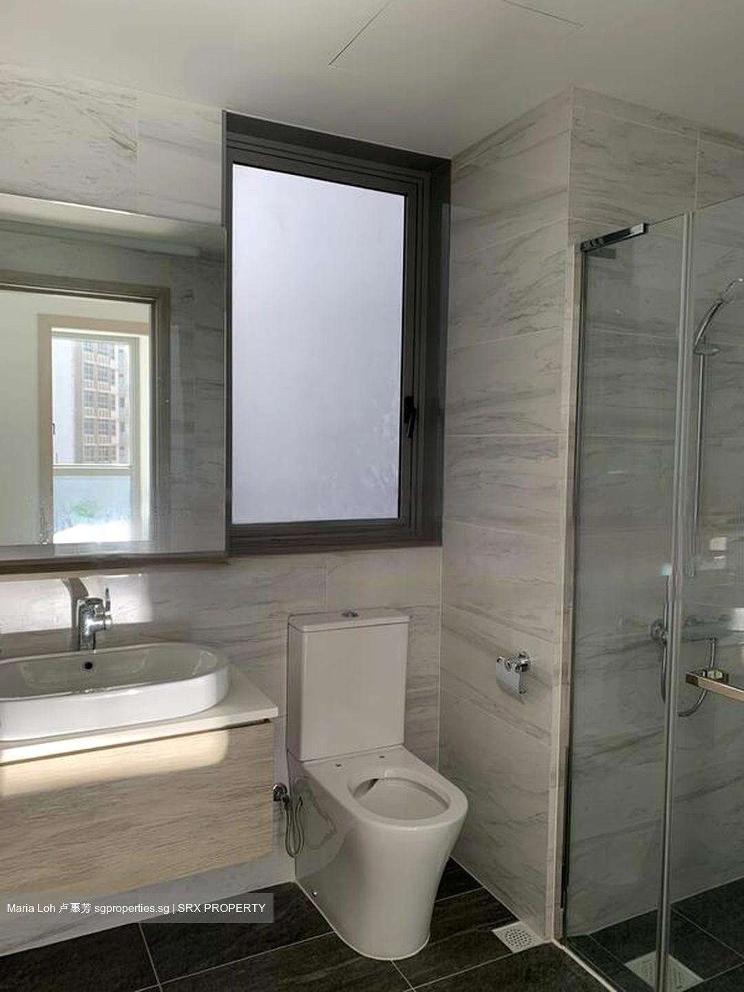 The Alps Residences (D18), Condominium #480092731